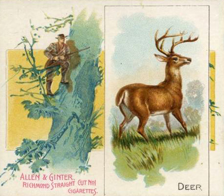 1890 Allen & Ginter Quadrupeds Deer #12 Non-Sports Card