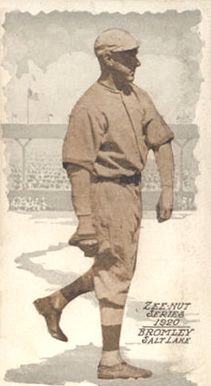 1920 Zeenut Bromley #17 Baseball Card