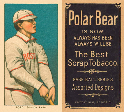 1909 White Borders Polar Bear Lord, Boston Amer. #290 Baseball Card