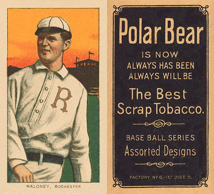 1909 White Borders Polar Bear Maloney, Rochester #299 Baseball Card