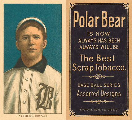 1909 White Borders Polar Bear Nattress, Buffalo #356 Baseball Card