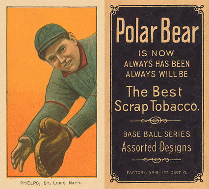 1909 White Borders Polar Bear Phelps, St. Louis Nat'L #392 Baseball Card