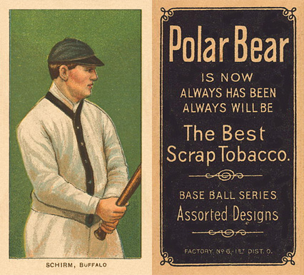 1909 White Borders Polar Bear Schirm, Buffalo #422 Baseball Card