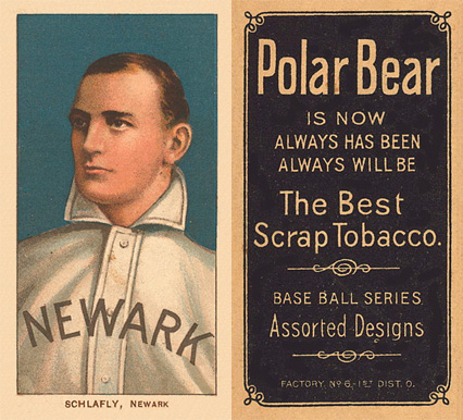 1909 White Borders Polar Bear Schlafly, Newark #423 Baseball Card