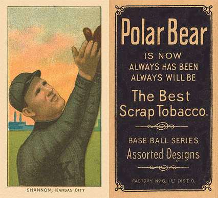 1909 White Borders Polar Bear Shannon, Kansas City #437 Baseball Card