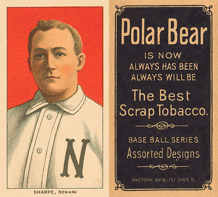 1909 White Borders Polar Bear Sharpe, Newark #438 Baseball Card