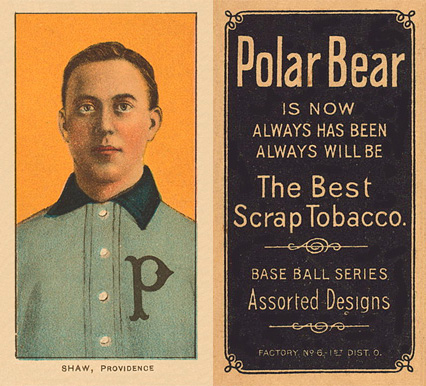 1909 White Borders Polar Bear Shaw, Providence #441 Baseball Card