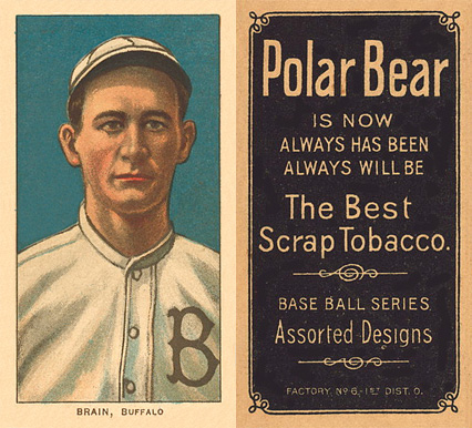 1909 White Borders Polar Bear Brain, Buffalo #47 Baseball Card