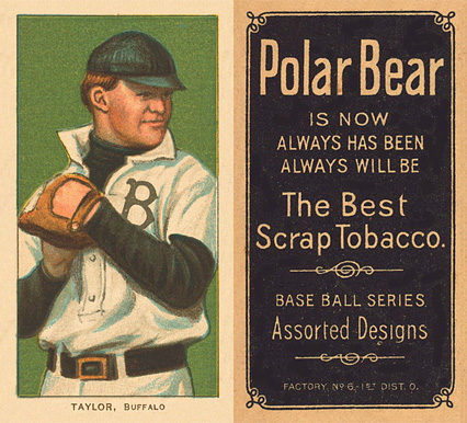1909 White Borders Polar Bear Taylor, Buffalo #479 Baseball Card