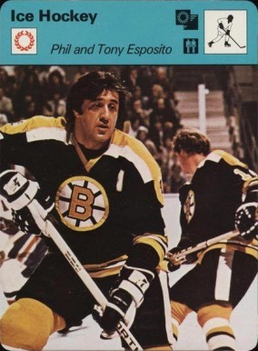1977 Sportscaster Phil and Tony Esposito #03-19 Hockey Card