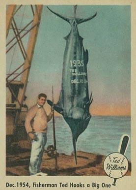 1959 Fleer Ted Williams 1954- Fisherman Ted Hooks A Big One #54 Baseball Card