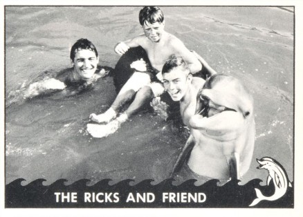 1966 Topps Flipper The Ricks & Friend #26 Non-Sports Card