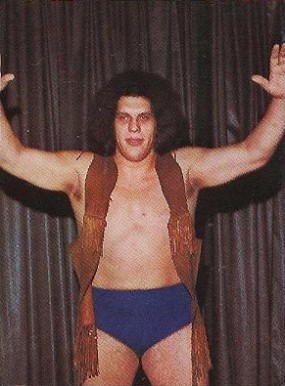 Andre The Giant - Boxing & Other Card Sets