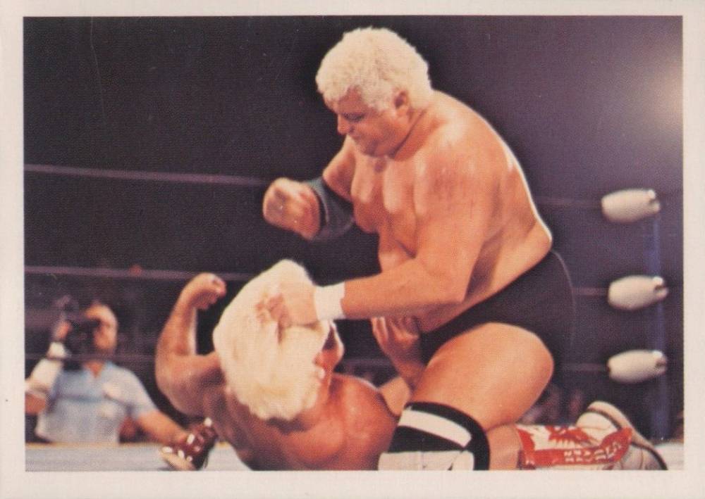 1988 Wonderama NWA Wrestling Superstars Dusty Rhodes/Ric Flair #219 Other Sports Card