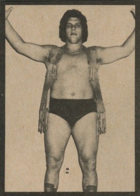 1973 Wrestling Annual #6 Andre the Giant # Other Sports Card